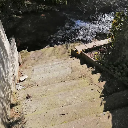 Gaestehaus An Der Bode Wahlweise Mit Halbpension